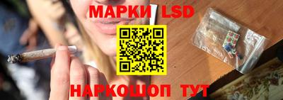 прущие грибы Гусиноозёрск