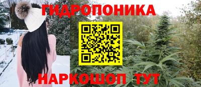 спайс Гусев