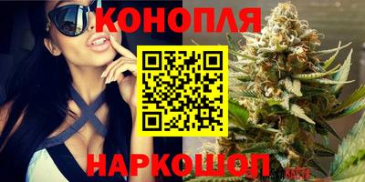 a pvp Гусь-Хрустальный