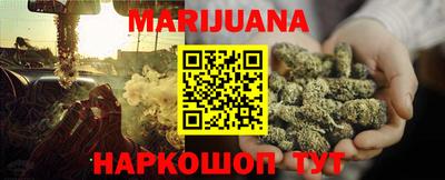 прущие грибы Гусиноозёрск