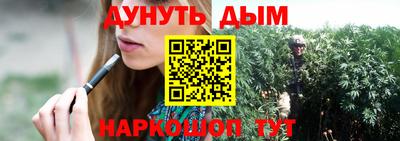 прущие грибы Гусиноозёрск