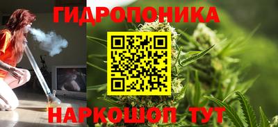 прущие грибы Гусиноозёрск