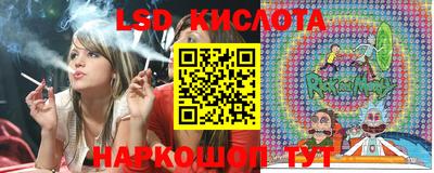 спайс Гусев