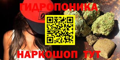 спайс Гусев