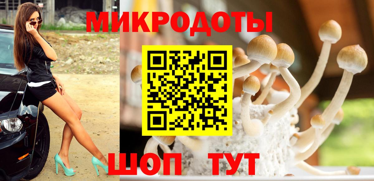 Галлюциногенные грибы Psilocybe  Вход с VPN  Валуйки 
